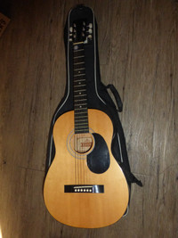 Torino C51T Acoustic Guitar and Case