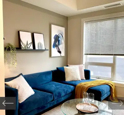 50 bison dr 2 bedroom 1 bathroom looking for sublet
