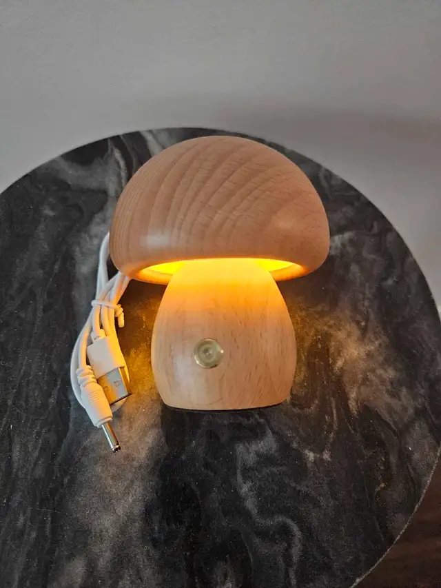 Decorative Cordless Mushroom Lamp in Indoor Lighting & Fans in Oakville / Halton Region - Image 3