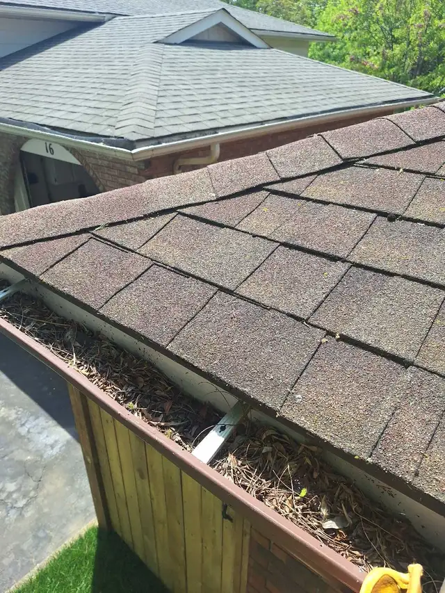gutter cleaning65403973542529122