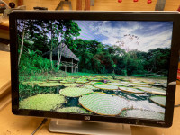 HP w2207h 22-inch widescreen flat panel monitor