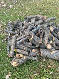 Free oak fire wood