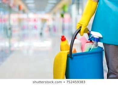 cleaning services  in Cleaners & Cleaning in Mississauga / Peel Region