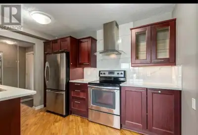 1 Bed/bath condo downtown ALL INCLUDED  monthly $2,000