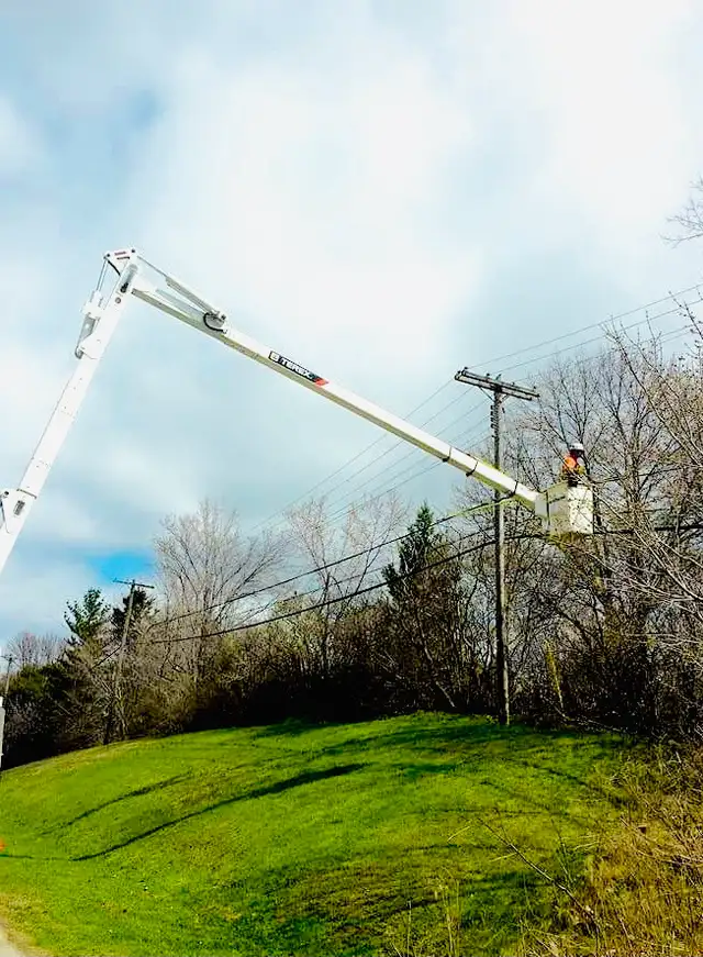 TREE CARE SERVICES, TREE REMOVAL, PRUNING (416) 206-146062863246806274122