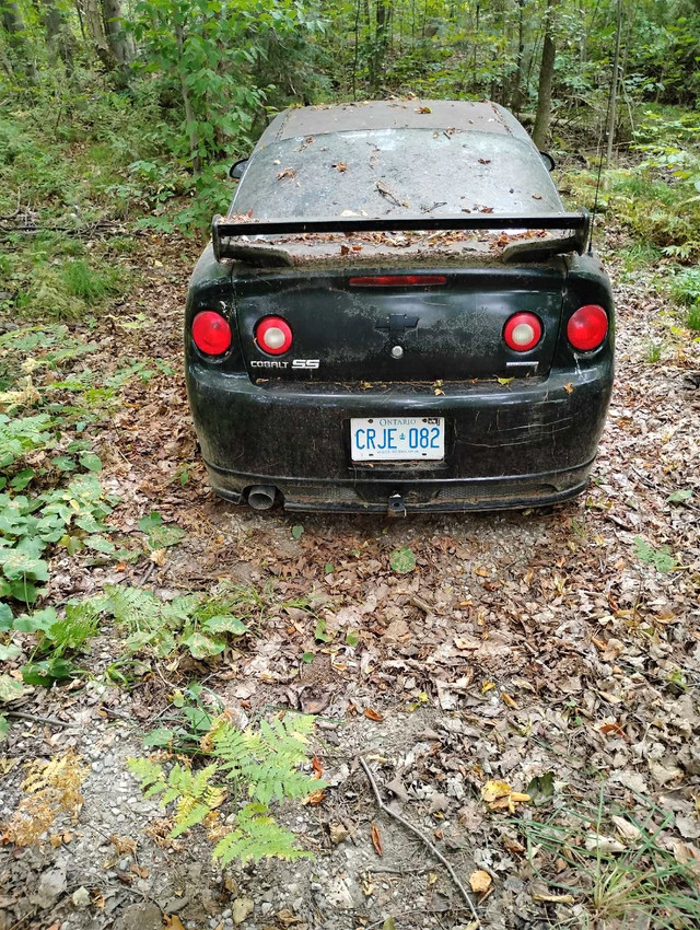 2005 Chevy Cobalt SS in Cars & Trucks in Renfrew