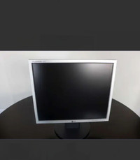 LG Flatron 19 Inch Monitor