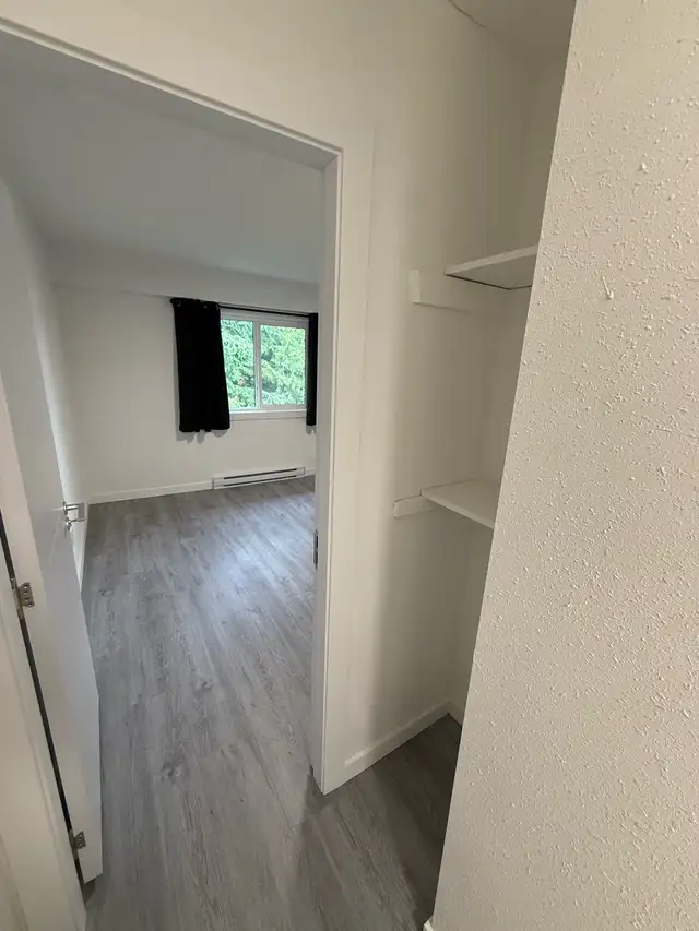 room for rent in Room Rentals & Roommates in Prince Rupert - Image 6