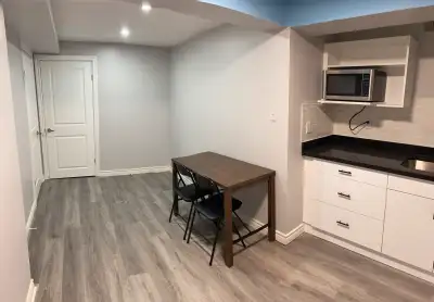 one big room with private kitchen & bathroom in the basement