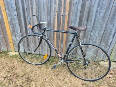 10 speed Nakamura performance road bike (23.5" frame), View more