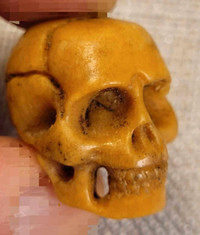 Lot de 6 Mini crânes ¾" sculptés d'os. Bovine bone carved skulls