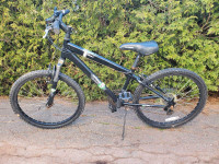 24" mountain bike