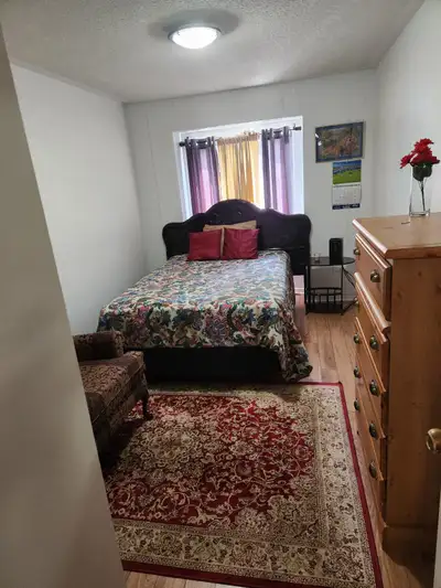 Large Furnish Or Un Furnish room Sheradan College /shopping/ Bus