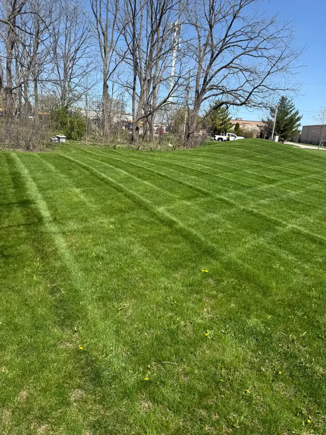 landscape Services,grass cutting in Lawn, Tree Maintenance & Eavestrough in London - Image 6