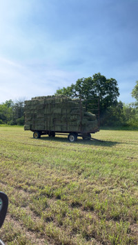 Square bales for sale 
