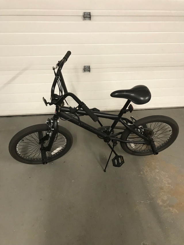 stunt pegs for mongoose bmx