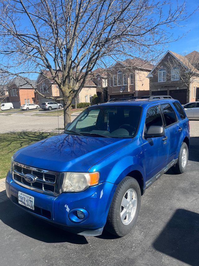 2011 Ford Escape  in Cars & Trucks in Mississauga / Peel Region