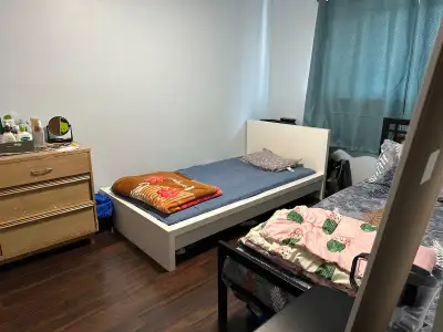 shared room for female available for rent in Brampton