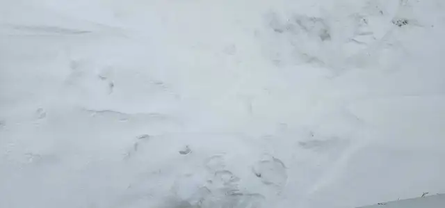 chambres à louer  in Long Term Rentals in Saguenay - Image 2