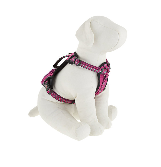 KONG® Reflective Pocket Dog Harness - NEW Size Small in Accessories in Oshawa / Durham Region - Image 2
