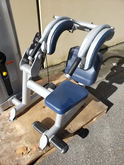 Paramount Abdominal Machine, View more