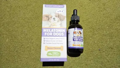 Melatonin for dogs, View more