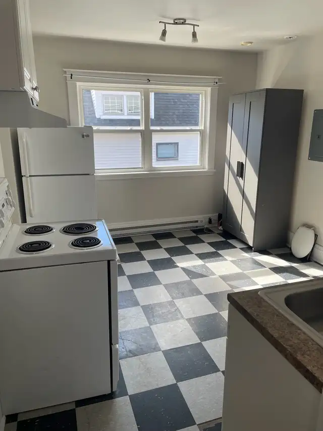 Large Bachelor Apartment For Rent