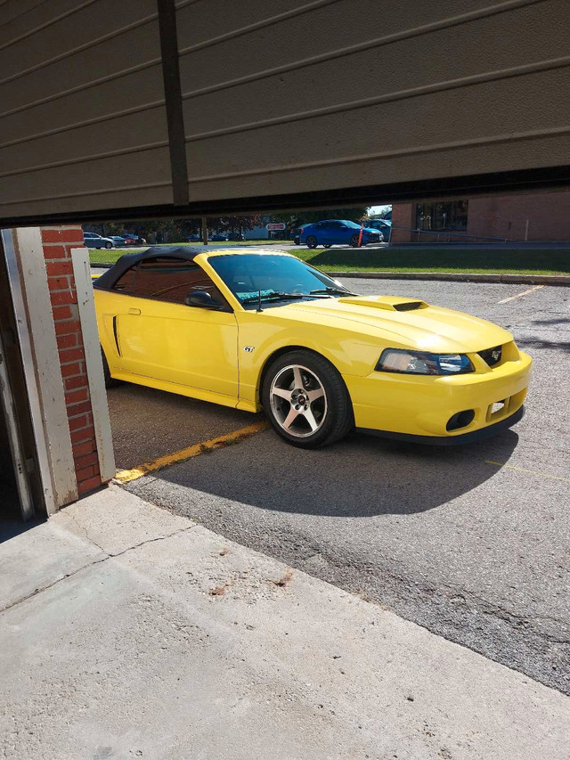 2003 Ford Mustang GT convertible in Cars & Trucks in Mississauga / Peel Region - Image 2