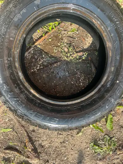 Almost brand new, used for maybe on winter! 90% life left! 185/70R14 Great condition tires , no long...