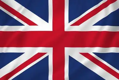car flags for 15 dollars, View more
