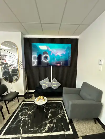 TV MURAL INSTALLATION , View more