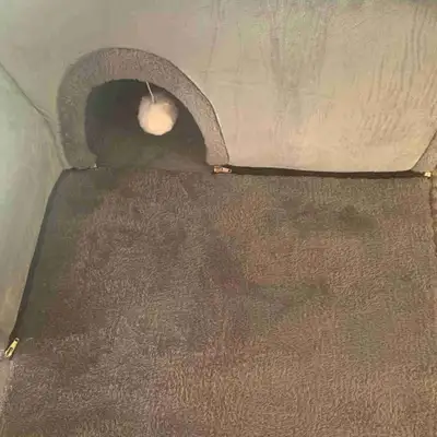 Cat bed W/tunnel , View more