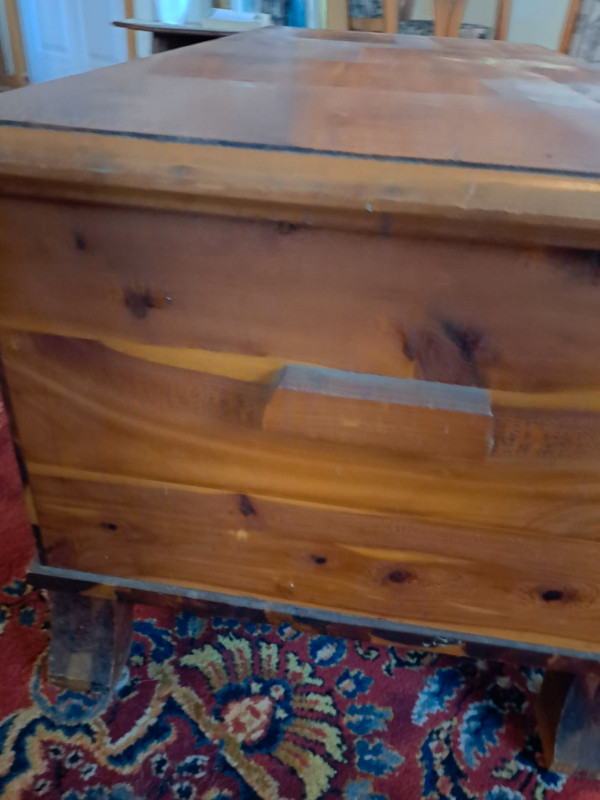 Cedar Chest in Dressers & Wardrobes in Napanee - Image 3