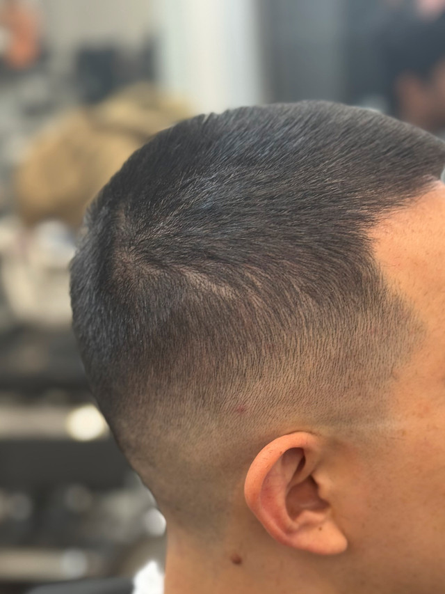free hair cut  in Hair Stylist & Salon in Ottawa - Image 4