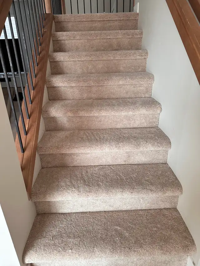 Floor Installation/Repairs559277763588280327