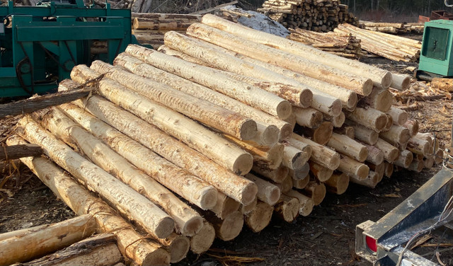 CEDAR POSTS from $4 | CALL 613-612-7476 in Decks & Fences in Ottawa - Image 4
