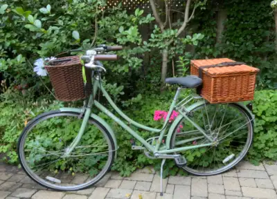 Vélo LINUS Dutch 3 vitesses, View more