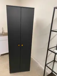 Ikea closet/wardrobe