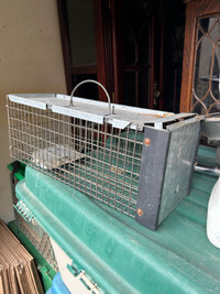Rodent trap