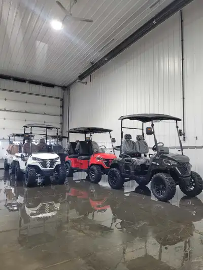 NEW 2025 Lithium powered golf carts. -110v plugin -Built in smart charger. -lockable compartments -H...