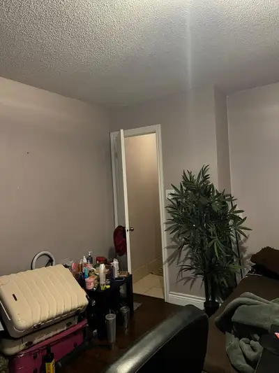 In a beautiful and clean female house a private room with private bathroom available for rent as jun...