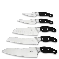 ICook - 5 Piece Knifeware set -German stainless steel blade