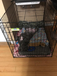 Dog crate