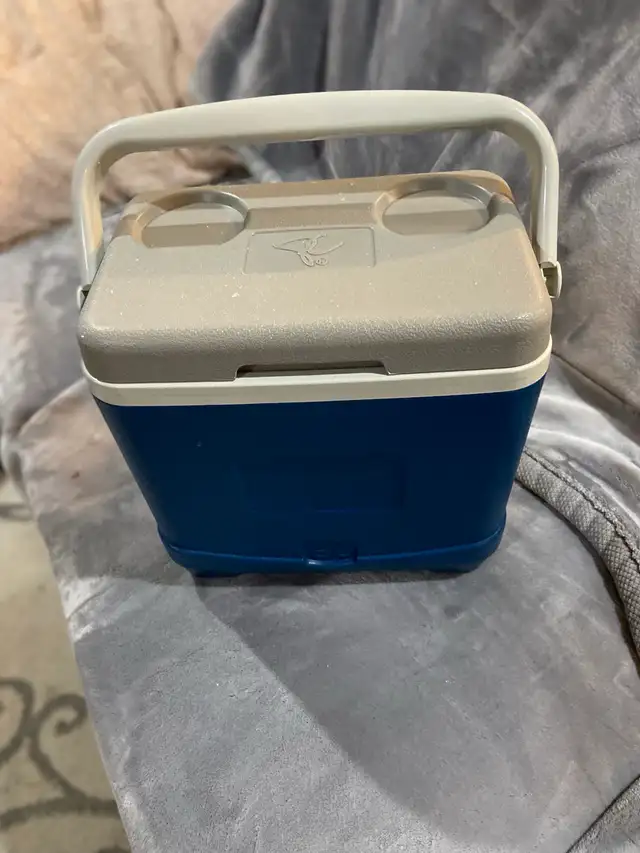 Igloo Cooler418454921408030720