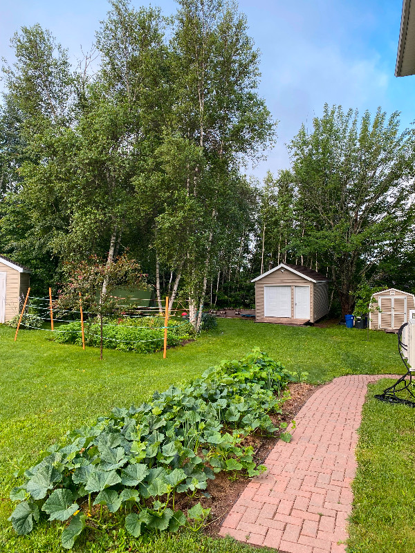3 bedroom house for rent Long Term Rentals Moncton Kijiji