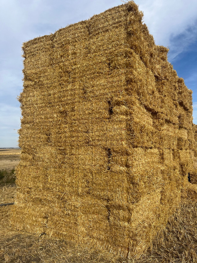 Small square straw in Other in Calgary - Image 3
