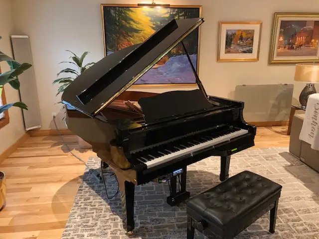 YAMAHA DC1 Grand Piano with Disklavier62863273700739121