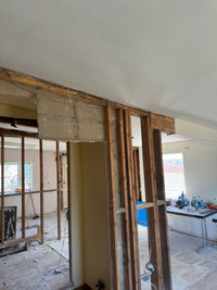Carpenter or renovation 