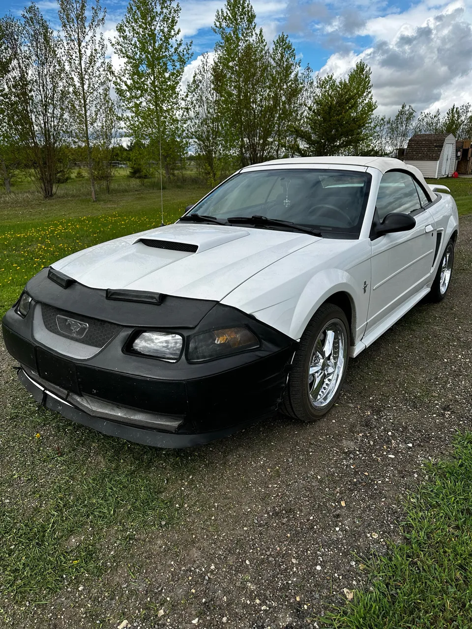 2003 Ford Mustang Covertible