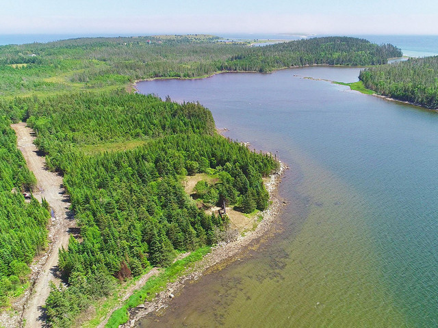 Over 300ft of Private beach 6+ acres dream property  in Land for Sale in Ottawa - Image 4